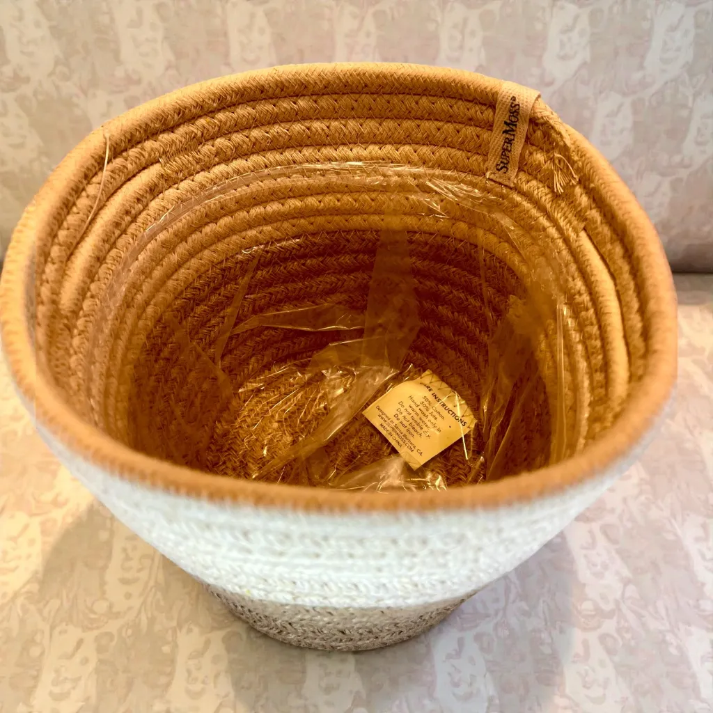 Photoroom_20260221_110642 (1).webp