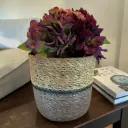 Seagrass Planter Basket with a Built-in Plastic Liner - 5" Brown