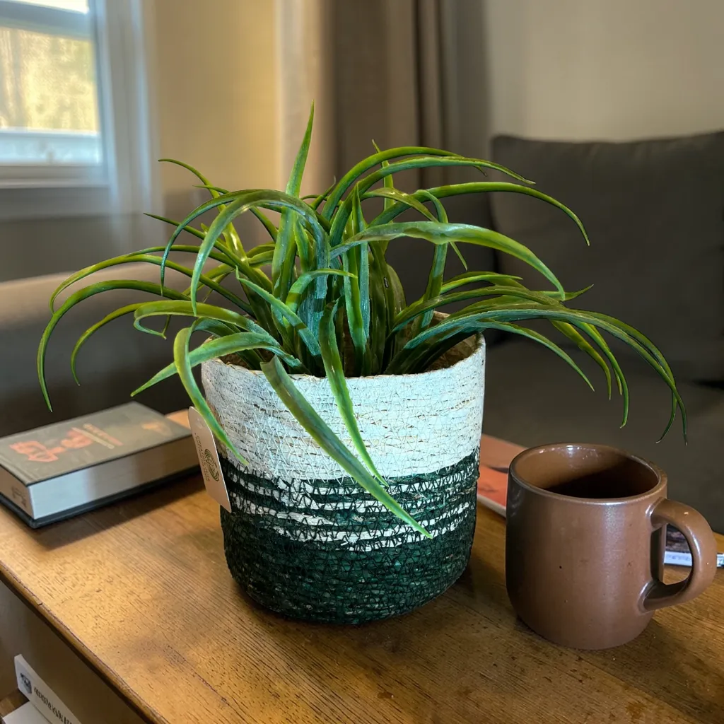 Seagrass Planter Basket with a Built-in Plastic Liner - 4" Green