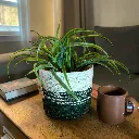 Seagrass Planter Basket with a Built-in Plastic Liner - 4" Green